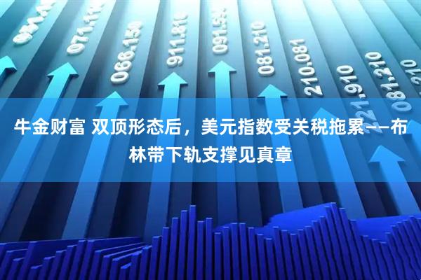牛金财富 双顶形态后,美元指数受关税拖累——布林带下轨支撑见真章
