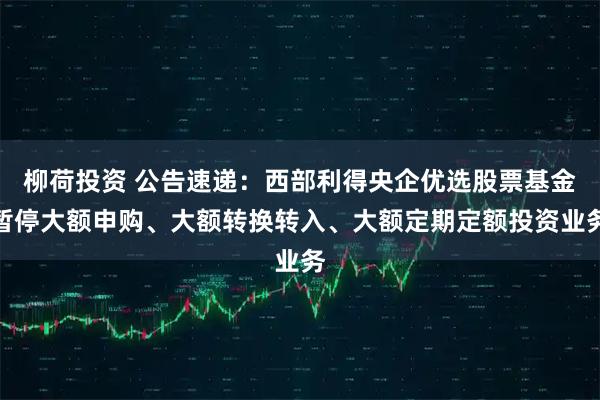 柳荷投资 公告速递：西部利得央企优选股票基金暂停大额申购、大额转换转入、大额定期定额投资业务