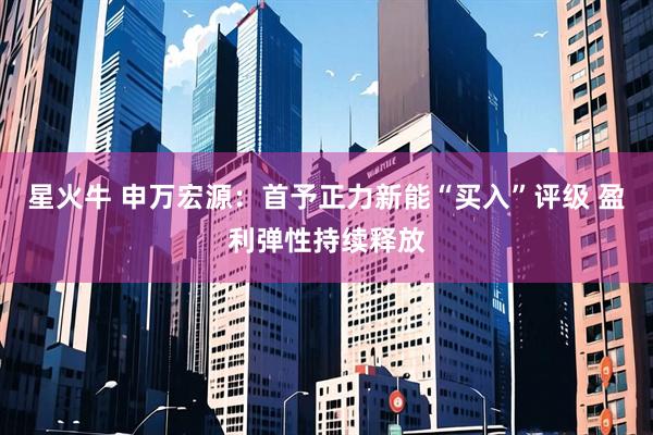 星火牛 申万宏源：首予正力新能“买入”评级 盈利弹性持续释放