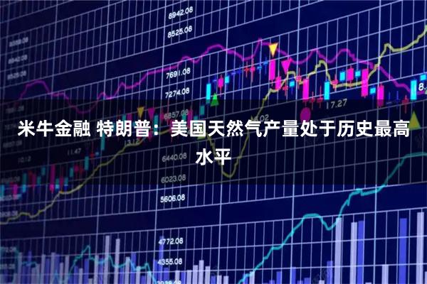 米牛金融 特朗普：美国天然气产量处于历史最高水平