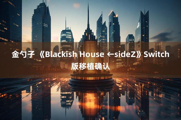 金勺子 《Blackish House ←sideZ》Switch版移植确认
