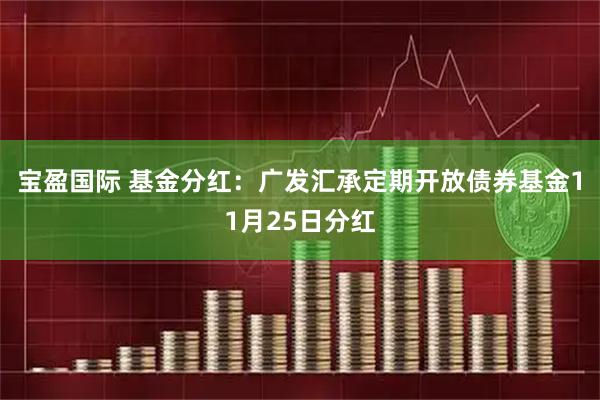 宝盈国际 基金分红：广发汇承定期开放债券基金11月25日分红